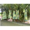 Image 1 : Qty 5 Green Leaf-Print Hawaiian Dresses, Misc Styles & Sizes