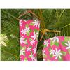 Image 3 : Qty 18 Pink & White Floral Pareos