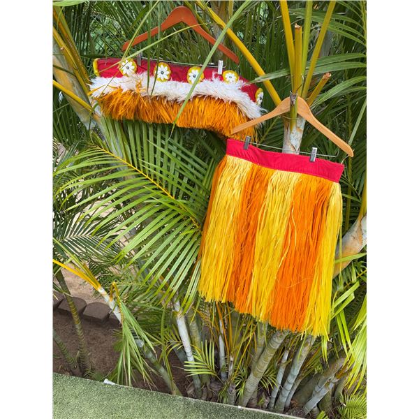 Artificial Fringe Dance Skirt w/ Hip Hei Band