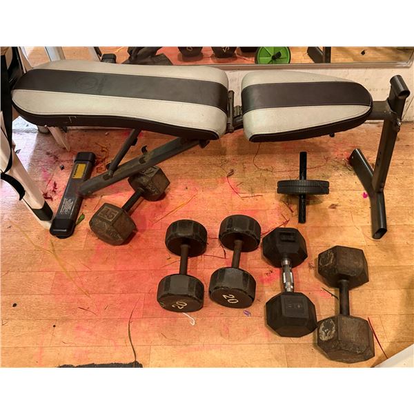 Weight Bench & 5 Dumbbells