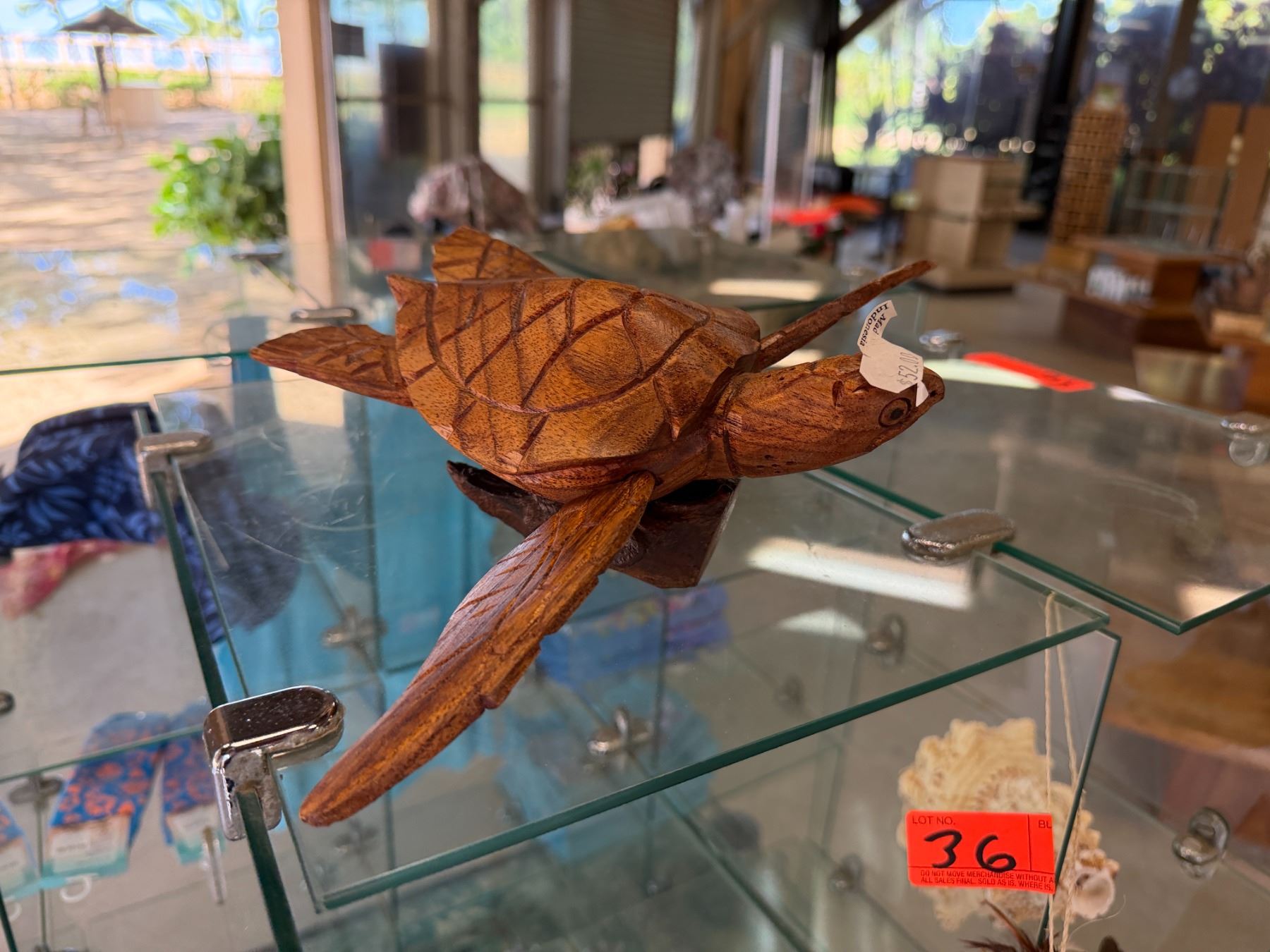 Display A Turtle Shell Contents of Display: Wooden Turtle, Shells, Helmets, Tikis, Bowls, etc ...