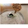 Image 10 : Multiple Miniature Sea Animals: Turtles, Sharks, etc w/ Sea Turtle Nest