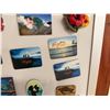 Image 14 : Multiple Hawaii & Paradise Cove Magnets, Ukulele Bottle Openers, etc Misc Sizes