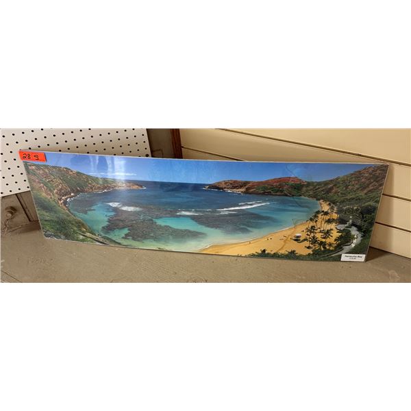 Hanauma Bay Photographic Image 40" x 12.5"
