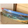 Image 3 : Hanauma Bay Photographic Image 40" x 12.5"