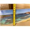 Image 5 : Hanauma Bay Photographic Image 40" x 12.5"