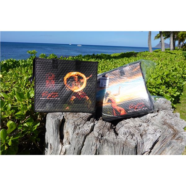 Qty 50 Paradise Cove Hot/Cold Bags