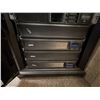 Image 10 : APC NetShelter Server Rack w/ Servers, Keyboard/Mouse Tray & Monitor, Network Switches, Power Suppli