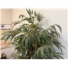Image 2 : Artificial Bamboo Tree in Wicker Basket Planter 78"H