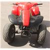 Image 1 : 2001 Honda Fourtrax 90 Quad