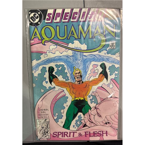 Aquaman Special #1 (1988) Spirit & Flesh DC Comics Mishkin Cohn Freeman