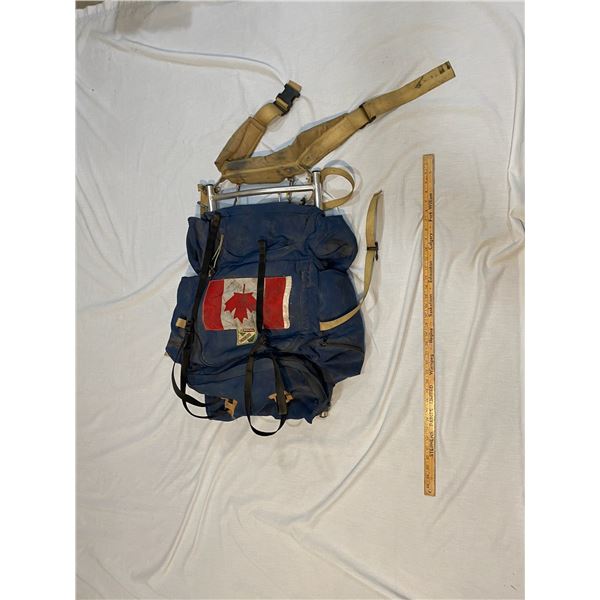 Vintage Taymor Outbound Backpack with Frame