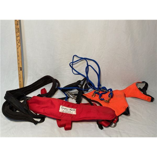 Dog Harness Equipment Leash