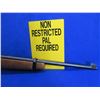 Image 8 : Non-Restricted - Ruger Model 10/22 Carbine in 22LR