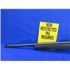 Image 4 : Non-Restricted - Tikka Model T1x in 22LR