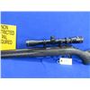 Image 3 : Non-Restricted - Ruger American in 17 HMR