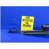 Image 4 : Non-Restricted - Ruger American in 17 HMR