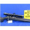 Image 7 : Non-Restricted - Ruger American in 17 HMR