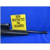 Image 8 : Non-Restricted - Ruger American in 17 HMR