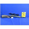 Image 4 : Non-Restricted - Cricket Target Model in 22LR
