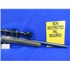 Image 6 : Non-Restricted - Cricket Target Model in 22LR