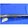 Image 9 : Non-Restricted - JC Higgins Sears Roebuck Model 20 in 12 Ga. 2 3/4"