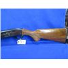 Image 2 : Non-Restricted - Remington Model 1100 in 12 Ga.2 3/4"