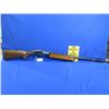 Image 5 : Non-Restricted - Remington Model 1100 in 12 Ga.2 3/4"