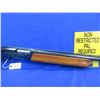 Image 7 : Non-Restricted - Remington Model 1100 in 12 Ga.2 3/4"