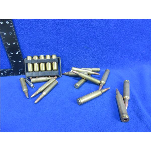 Lot of 17 Misc. Cartridges + 3 Brass (Pick Up or Ship by UPS Only)