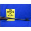 Image 8 : Non-Restricted - Lee Enfield in 303 British