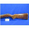 Image 2 : De-Activated - Remington Model 511 in 22 S/L/LR