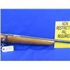 Image 7 : De-Activated - Remington Model 511 in 22 S/L/LR