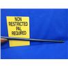 Image 8 : De-Activated - Remington Model 511 in 22 S/L/LR