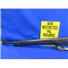 Image 4 : Non-Restricted - US Enfield Remington ERA P14 in 303 British