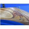 Image 8 : Stock Only - 22 LR Thompson/Center R-55 Laminated Wood Stock