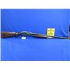 Image 5 : Non-Restricted - Winchester Model 12 in 12 Ga.2 3/4"