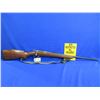 Image 5 : Non-Restricted - Globe Firearms in 22 LR