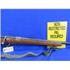 Image 7 : Non-Restricted - Globe Firearms in 22 LR