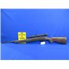 Image 1 : Non-Restricted - Winchester Model 490 in 22LR