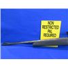 Image 4 : Non-Restricted - Winchester Model 490 in 22LR