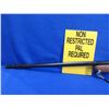 Image 4 : Non-Restricted - Cooey Model 75 in 22 Cal.