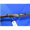 Image 9 : Non-Restricted - Cooey Model Senior in 22LR