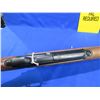 Image 10 : Non-Restricted - Sauer Model 303 in 300 Win Mag