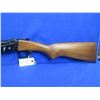 Image 2 : Non-Restricted - BSA Snipe Single Shot in 12 Ga. 2 3/4"