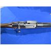 Image 11 : Non-Restricted - AMA Aalgen in  30-06 Sprg
