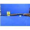 Image 1 : Non-Restricted - Hatsan Escort Magnum in 12 Ga. 3"