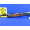 Image 3 : Non-Restricted - Hatsan Escort Magnum in 12 Ga. 3"