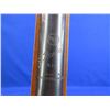 Image 9 : No PAL Required - Slavia Model 624 Air Rifle in .177  Cal.