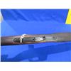 Image 11 : Non-Restricted - Winchester Model 77 in 22LR